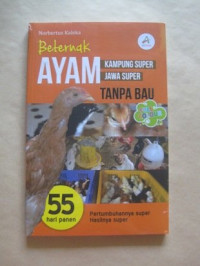 Image of Beternak ayam kampung super jawa super tanpa bau